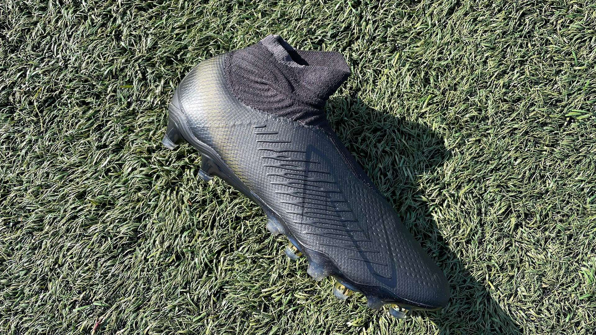 作为东道主 作为东道主